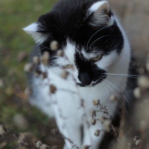 Meet your Posher, Trecey